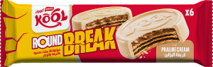 Maxon Biscuit B04